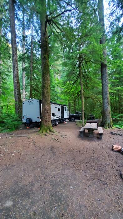 RV camping in a forest campground in Washington state with a travel trailer parked among tall evergreen trees and a picnic table, showcasing peaceful Pacific Northwest camping.