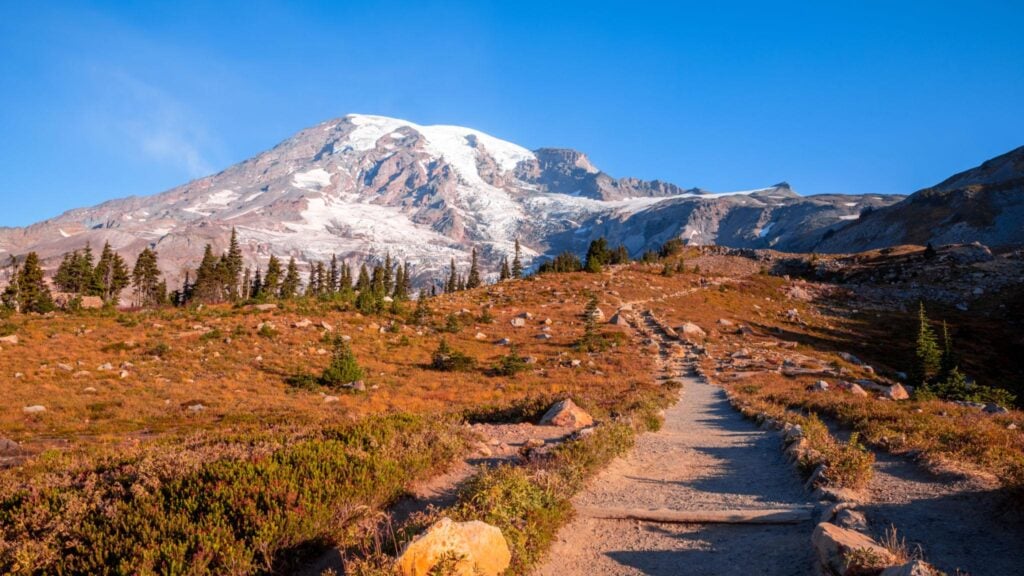 Scenic hiking trail leading toward Mount Rainier surrounded by alpine meadows and rugged mountain landscapes in Washington State.