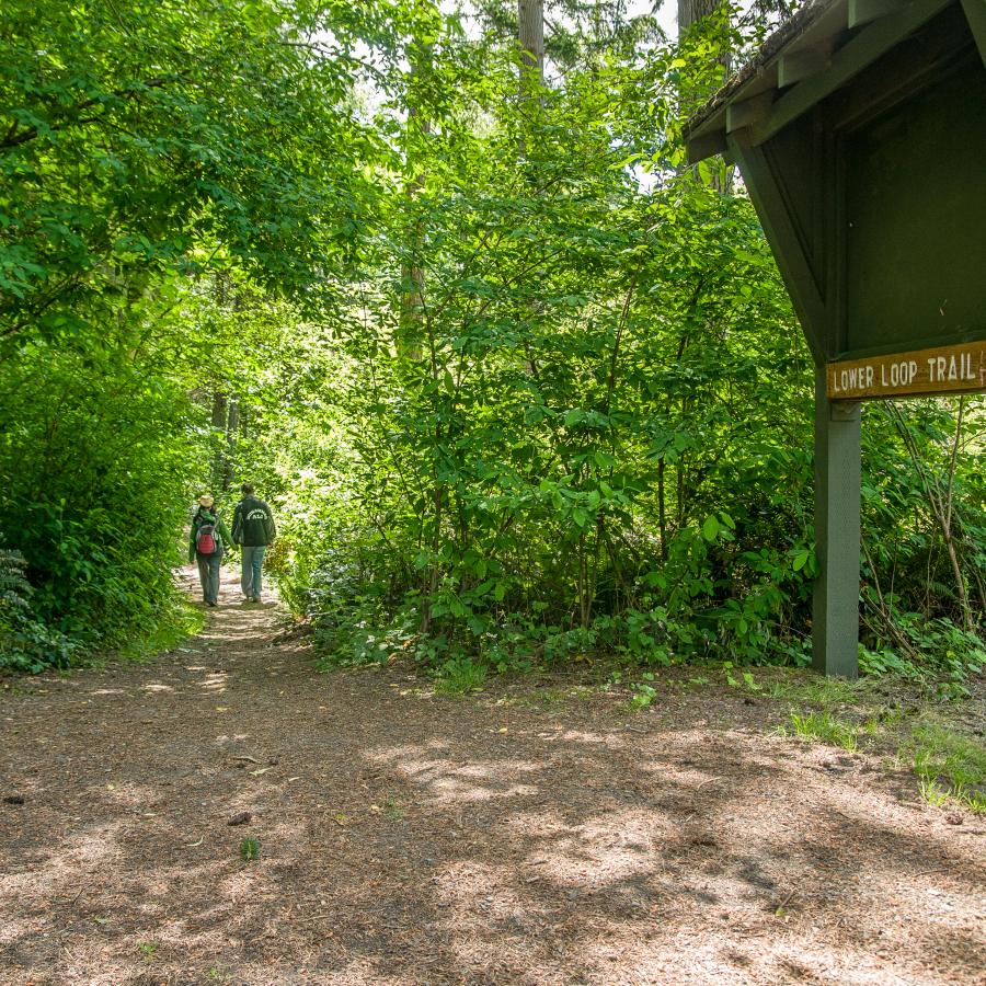 Hikers walking along a shaded forest trail at Dash Point State Park, showcasing scenic hiking opportunities near top RV campgrounds around Puget Sound for Summer 2026.