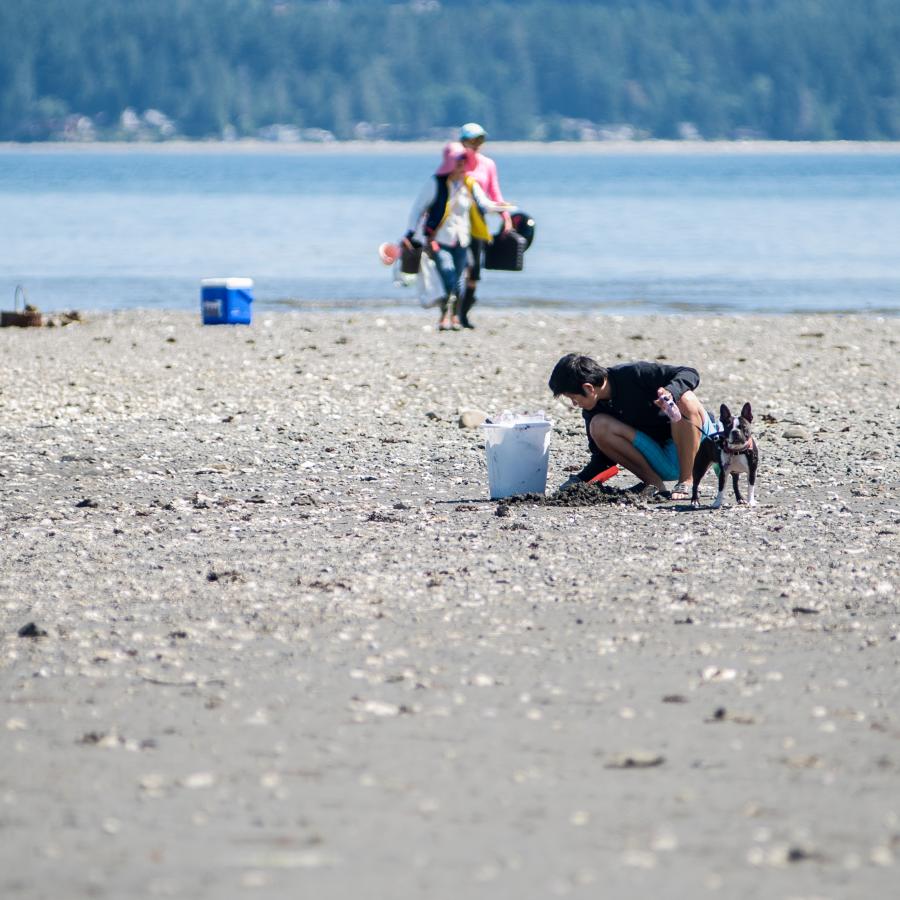 Family and dog exploring a rocky beach during low tide near Hood Canal, showcasing outdoor activities and family-friendly experiences at Puget Sound RV campgrounds in Washington State.