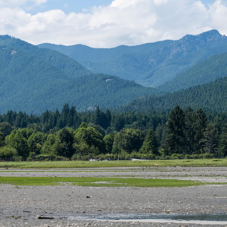 Scenic view of the Olympic Mountains and forested shoreline near Hood Canal, highlighting the natural beauty surrounding top RV campgrounds around Puget Sound for Summer 2026.