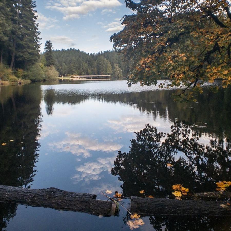 Calm forest lake reflecting trees and clouds at Lake Sylvia State Park, showcasing the peaceful scenery and outdoor beauty near top RV campgrounds around Puget Sound for Summer 2026.