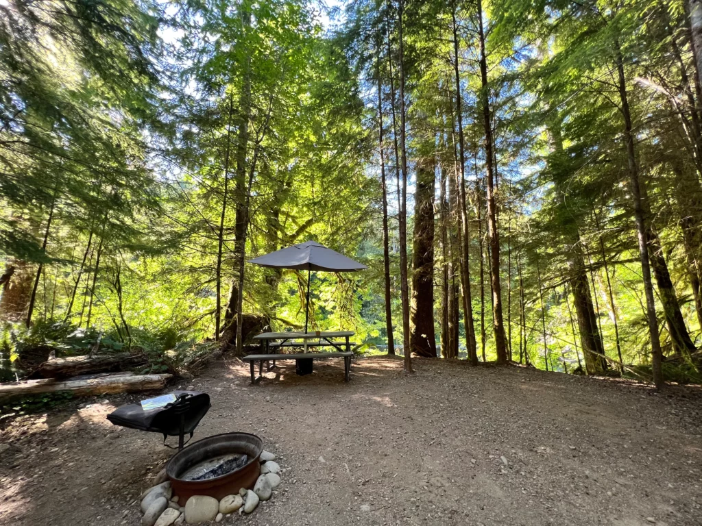 Peaceful forest campsite with picnic table, fire pit, and tall evergreen trees beside a river in Washington State.
