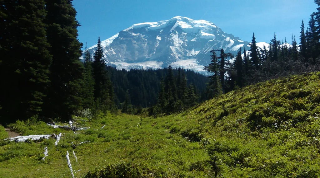 Mount Rainier towering above evergreen forests and alpine meadows in Washington State, a popular destination for RV camping, hiking, and toy hauler adventures.