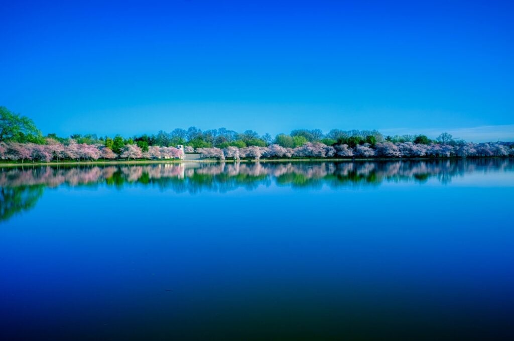 Scenic waterfront view at Moses Lake in Washington State with calm reflective water and blooming trees, popular for RV camping, boating, and outdoor recreation.